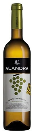 winediscounter202605021914572011046